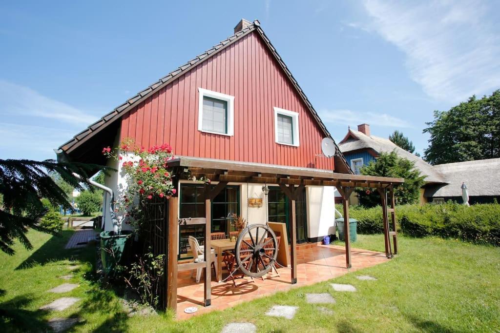 Trollhus - Grosses Familienfreundliches Ferienhaus Born Dış mekan fotoğraf