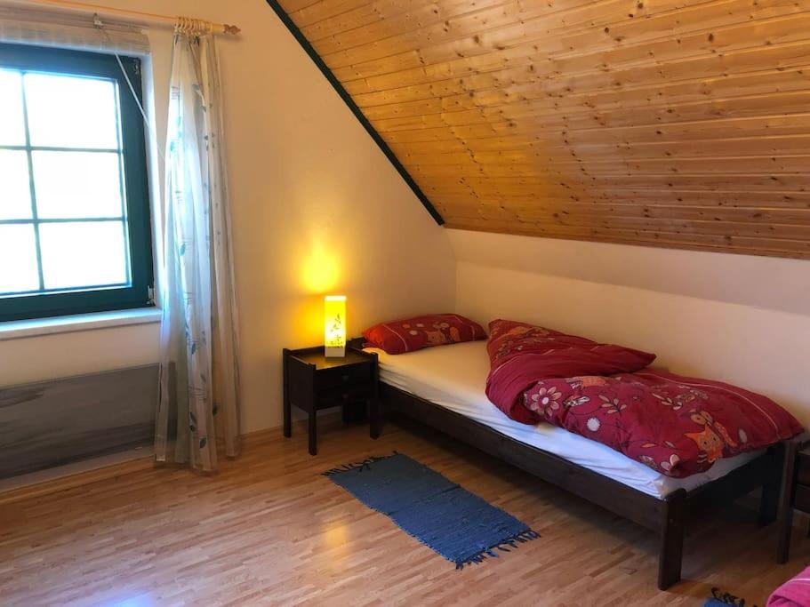 Trollhus - Grosses Familienfreundliches Ferienhaus Born Dış mekan fotoğraf