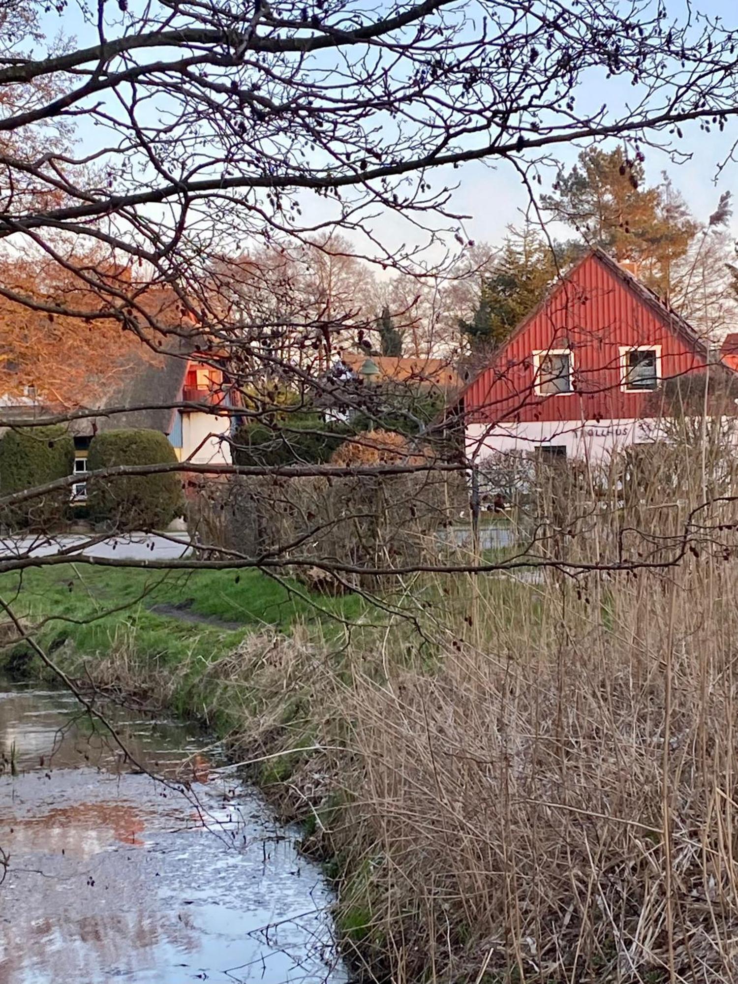 Trollhus - Grosses Familienfreundliches Ferienhaus Born Dış mekan fotoğraf
